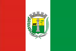 Bandeira palmaspr